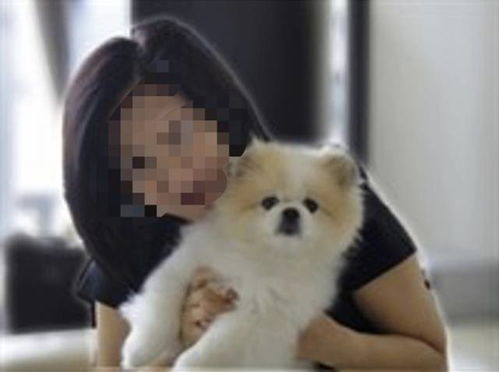 宠物狗被毒结果怎么样了