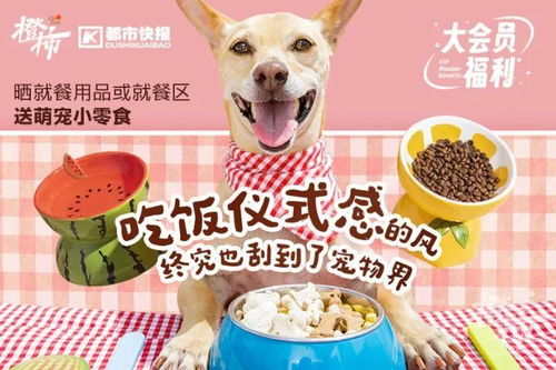 宠物狗零食餐包怎么做的