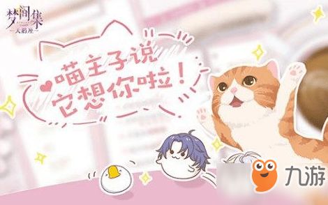 宠物猫怎么拿到韩国