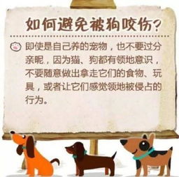 宠物狗轻轻咬手怎么办啊
