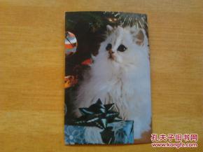 北京寄宠物猫怎么寄
