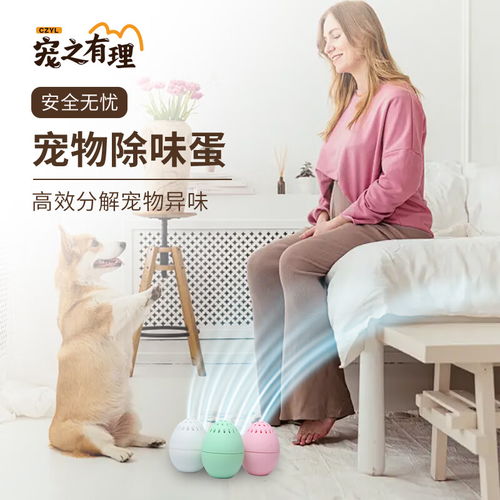 宠物狗尿臭怎么除味的呢