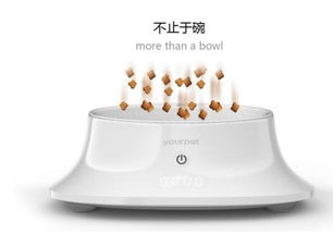 宠物狗的小碗怎么做的呢
