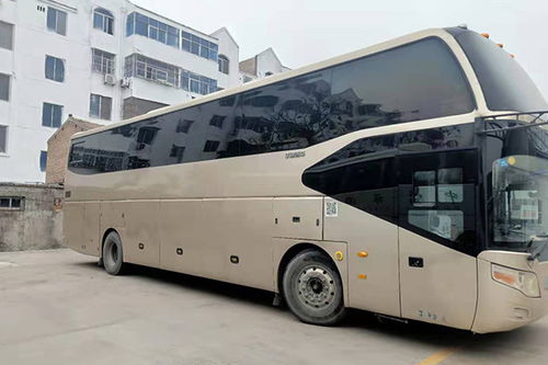 大巴怎么带宠物猫