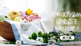 肉泥怎么做宠物狗吃