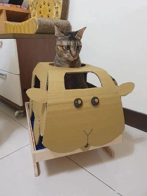 宠物猫车怎么做