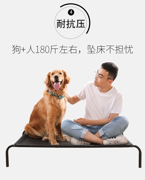宠物狗地垫不粘毛防水怎么办