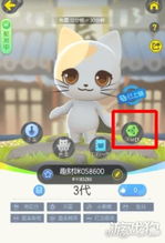 怎么配对宠物猫
