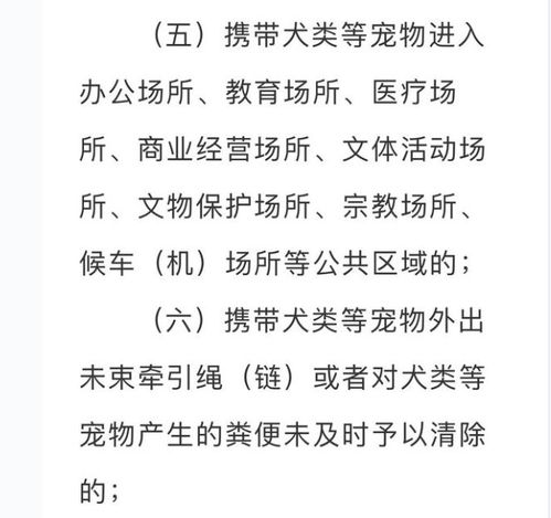 宠物狗扑咬主人怎么办啊