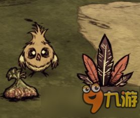 饥荒怎么可以获得宠物狗