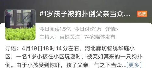 宠物狗吓哭主人怎么办呢