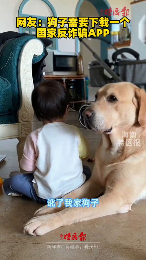 小孩摔宠物狗会怎么样吗