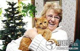 美国旅游怎么带宠物猫