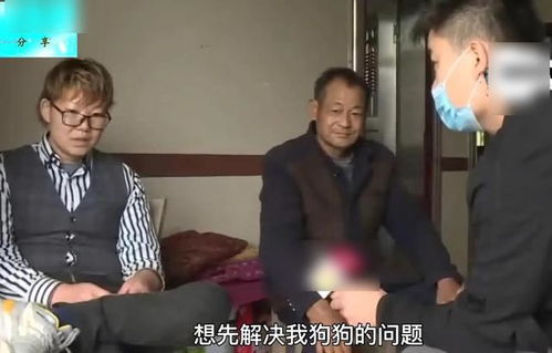宠物狗尿毒症怎么治疗的