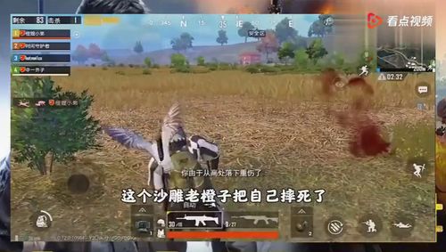 怎么在国际服养宠物狗呢