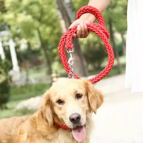 宠物狗牵引绳怎么使用的