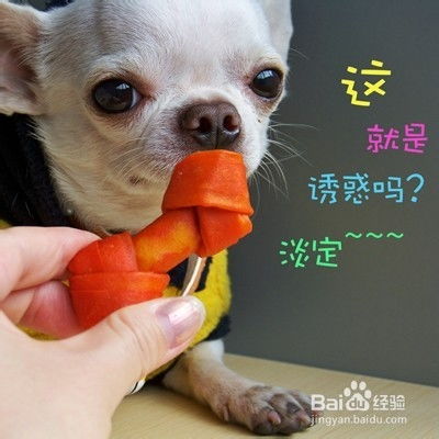 宠物狗口臭喷雾剂怎么用