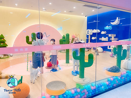 宠物猫小店怎么开通