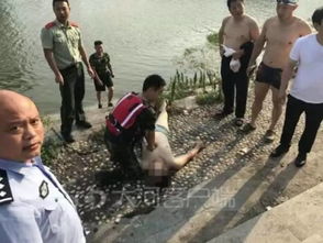 三人溺亡宠物狗怎么办