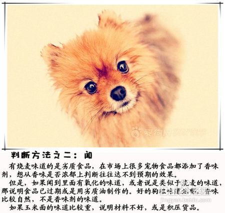 怎么分辨真假宠物狗粮呢