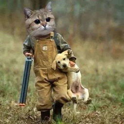 坏人养宠物猫会怎么样吗