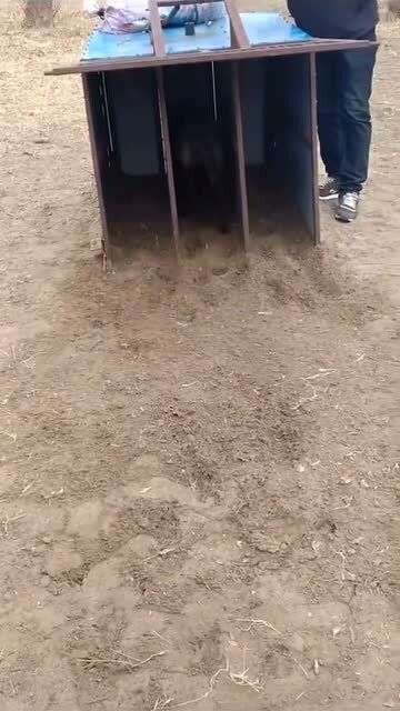宠物狗钻笼子怎么回事啊
