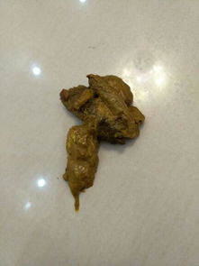 宠物狗拉便便硬的怎么办