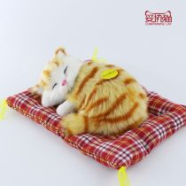 商家怎么邮寄宠物猫