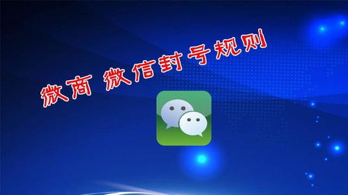 宠物狗营销号怎么做推广