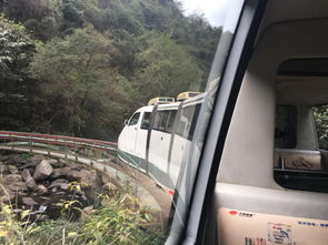 怎么带开火车的宠物狗上车