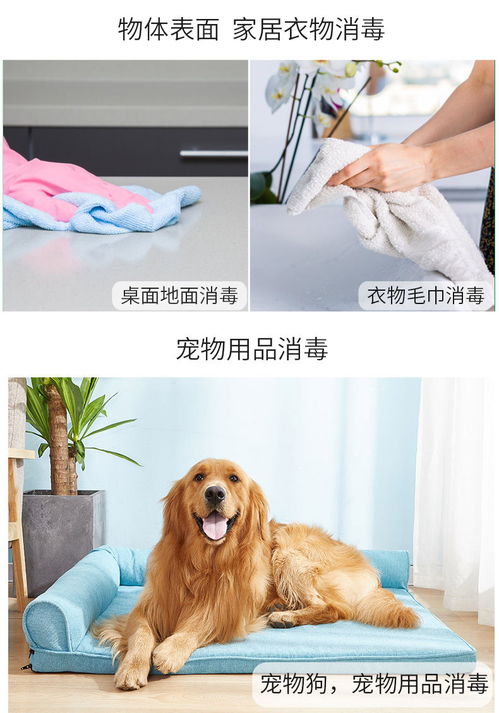 消毒剂怎么喷宠物猫狗的