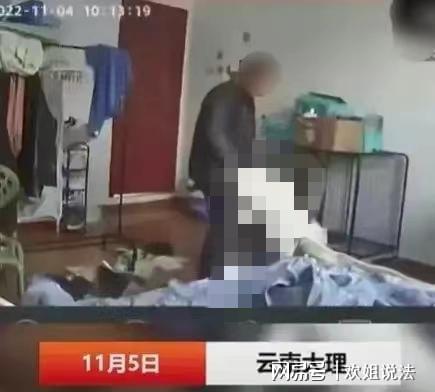 租客入侵宠物狗怎么办呢