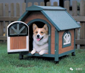 做宠物狗小屋怎么做的