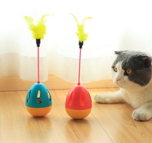 宠物猫怎么扎球
