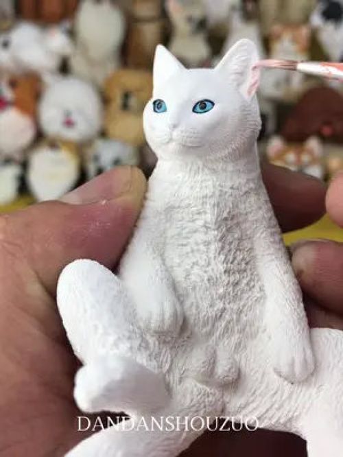 怎么制作手工宠物猫