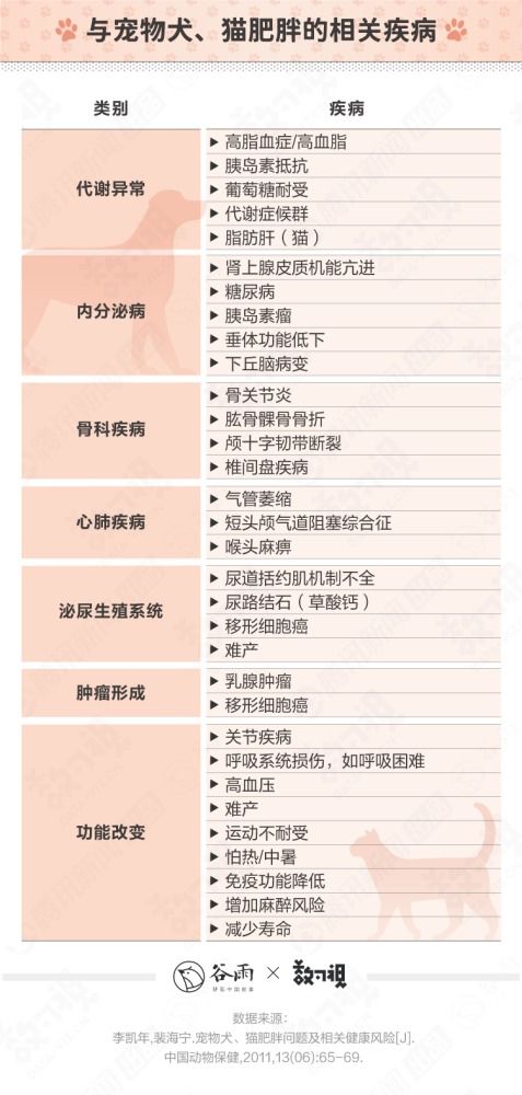 猫的血糖多少正常
