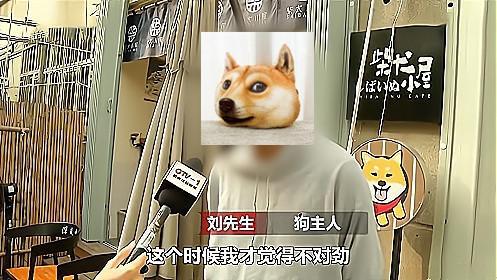 男子的宠物狗丢失怎么办