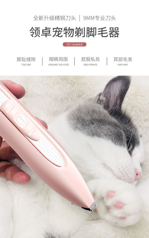 剃脚毛器宠物狗怎么用