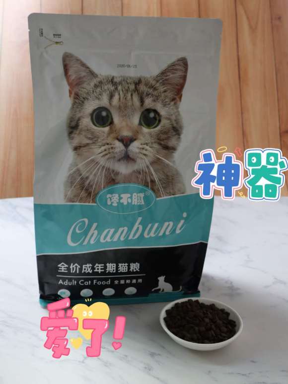 宠物猫粮不推荐怎么办呢