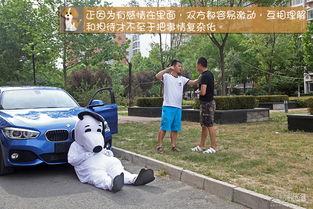 车撞伤宠物狗了怎么办