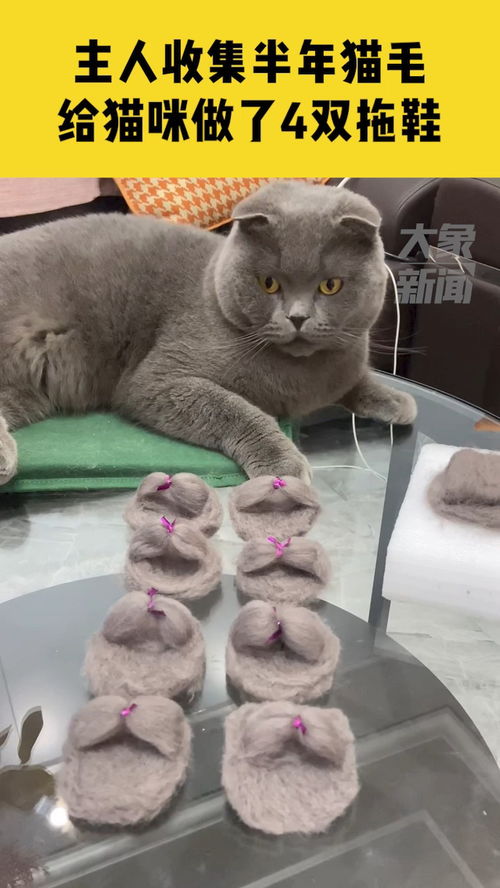 宠物猫做毛拖鞋怎么做的
