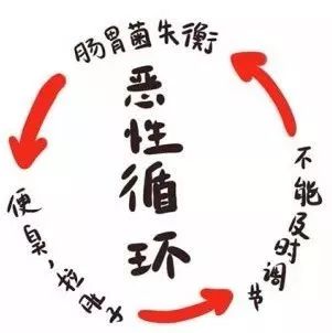 中医调理宠物狗怎么样啊