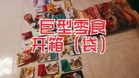 想开宠物狗零食店怎么办