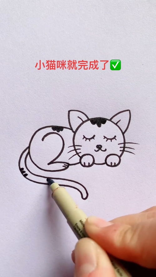 怎么用数字画宠物猫