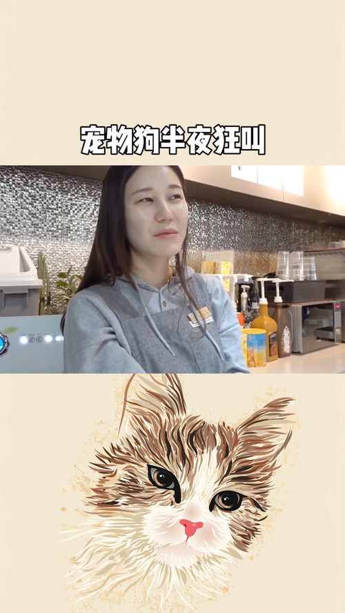宠物狗夜中狂叫怎么办