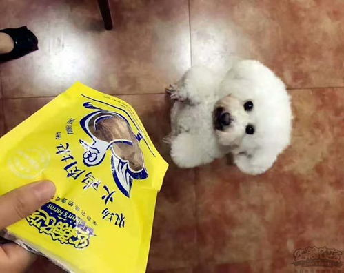 宠物狗零食肉泥怎么做