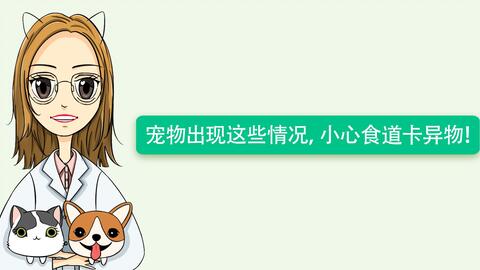 宠物狗拨耳毛会怎么样吗