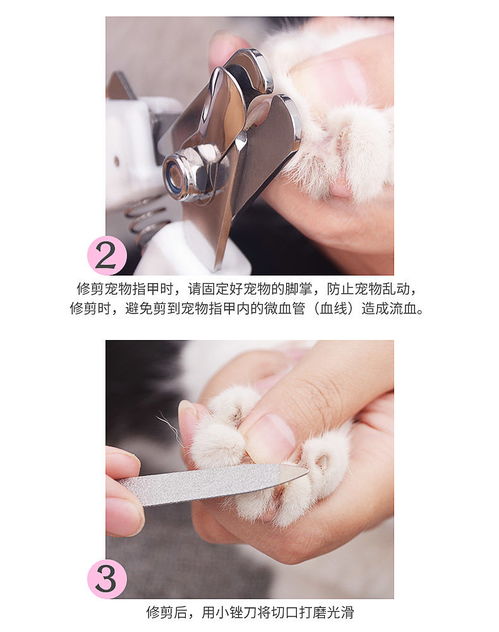 宠物狗剪脚趾甲神器怎么用