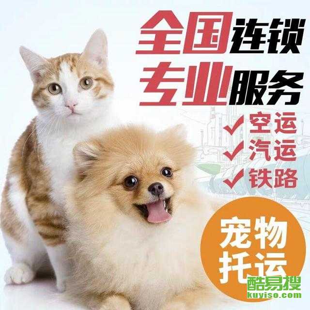 市内怎么托运宠物猫狗