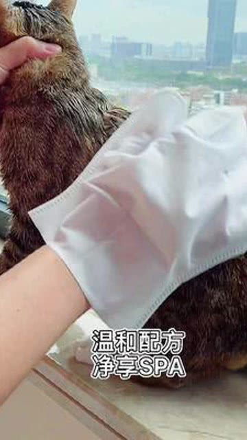 洗宠物猫手套怎么洗
